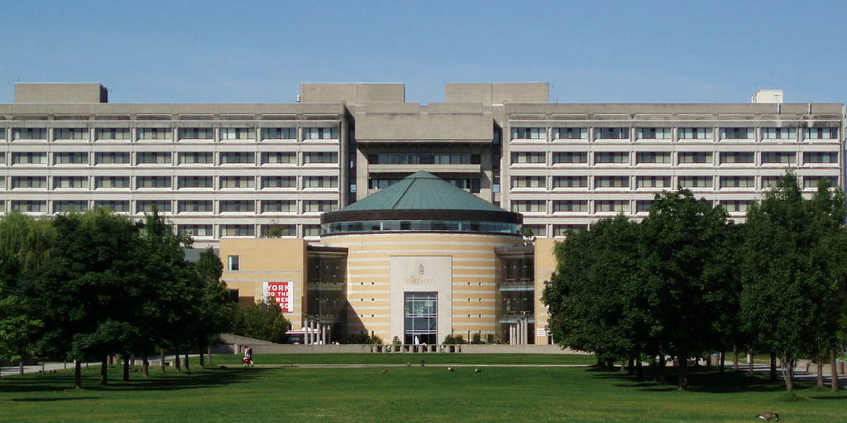 York University  logo